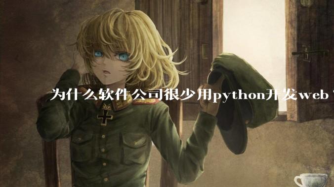 为什么软件公司很少用python开发web?