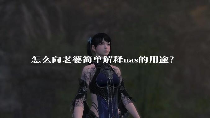 怎么向老婆简单解释nas的用途？