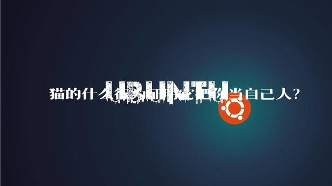 猫的什么行为证明它把你当自己人？