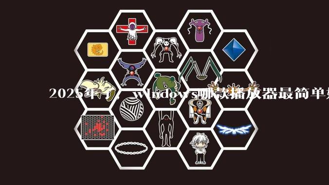 2025年了，windows哪款播放器最简单好用？