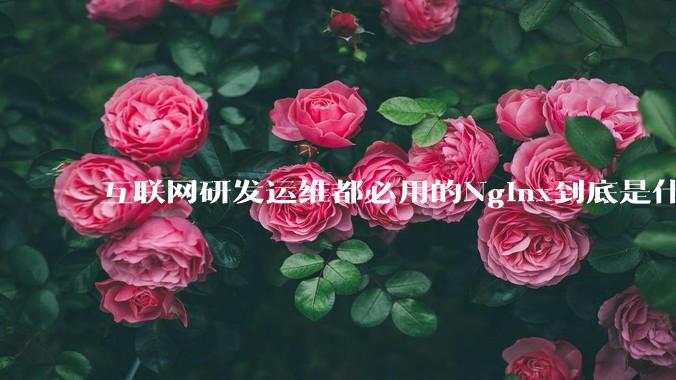 互联网研发运维都必用的Nginx到底是什么呢？