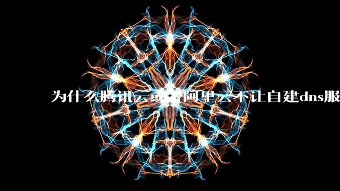 为什么腾讯云或者阿里云不让自建dns服务器?