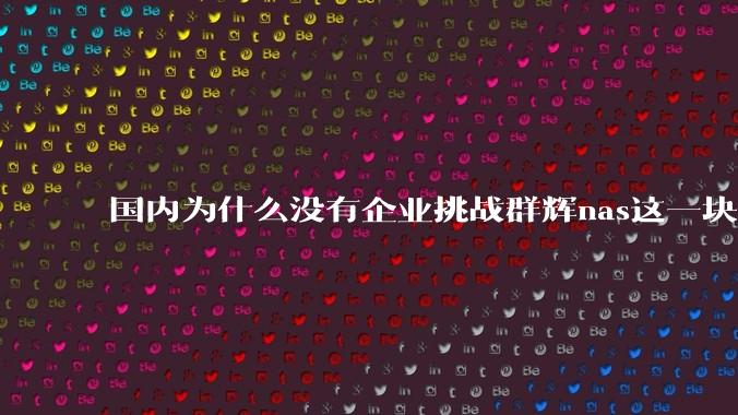 国内为什么没有企业挑战群辉nas这一块市场？