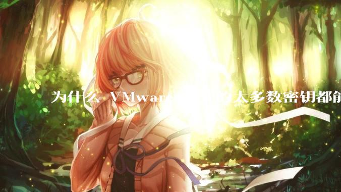 为什么 VMware 公开的大多数密钥都能用？