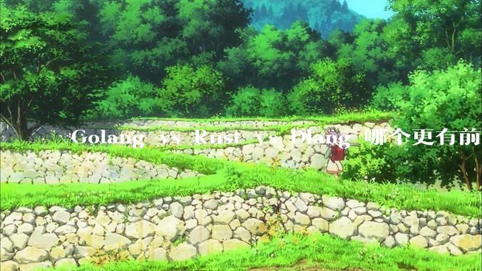 Golang vs Rust vs Dlang 哪个更有前途，哪位大牛这 3 门语言都用过？