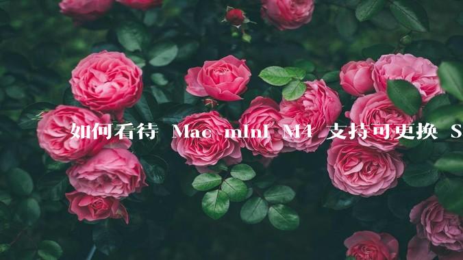 如何看待 Mac mini M4 支持可更换 SSD？