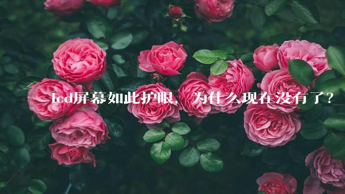 lcd屏幕如此护眼，为什么现在没有了？
